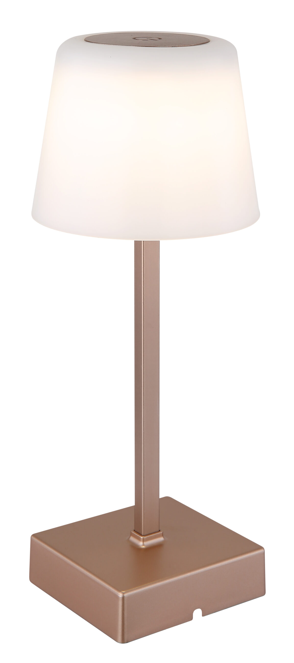 Stolna lampa XAYDEN