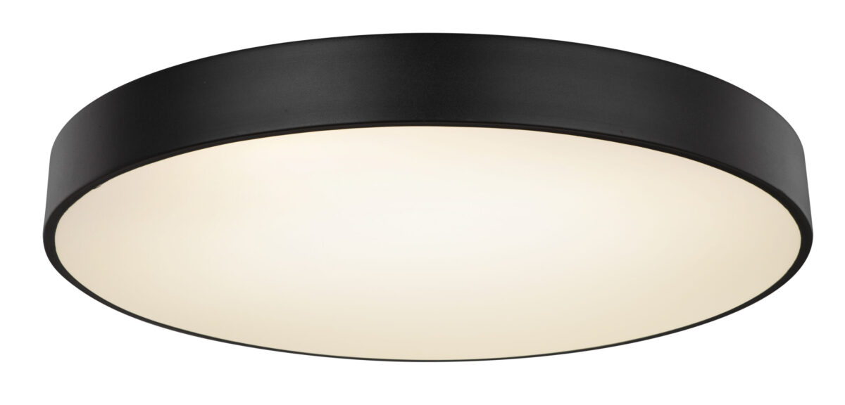 Plafonska lampa WISS