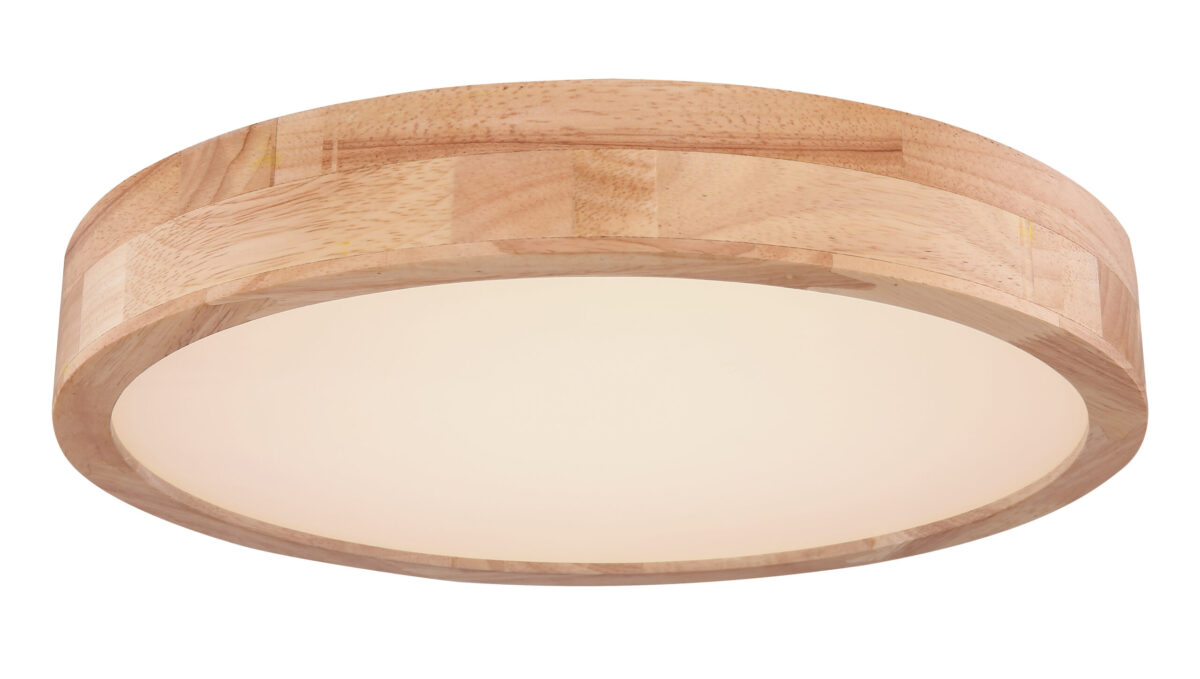 Plafonska lampa RAINER