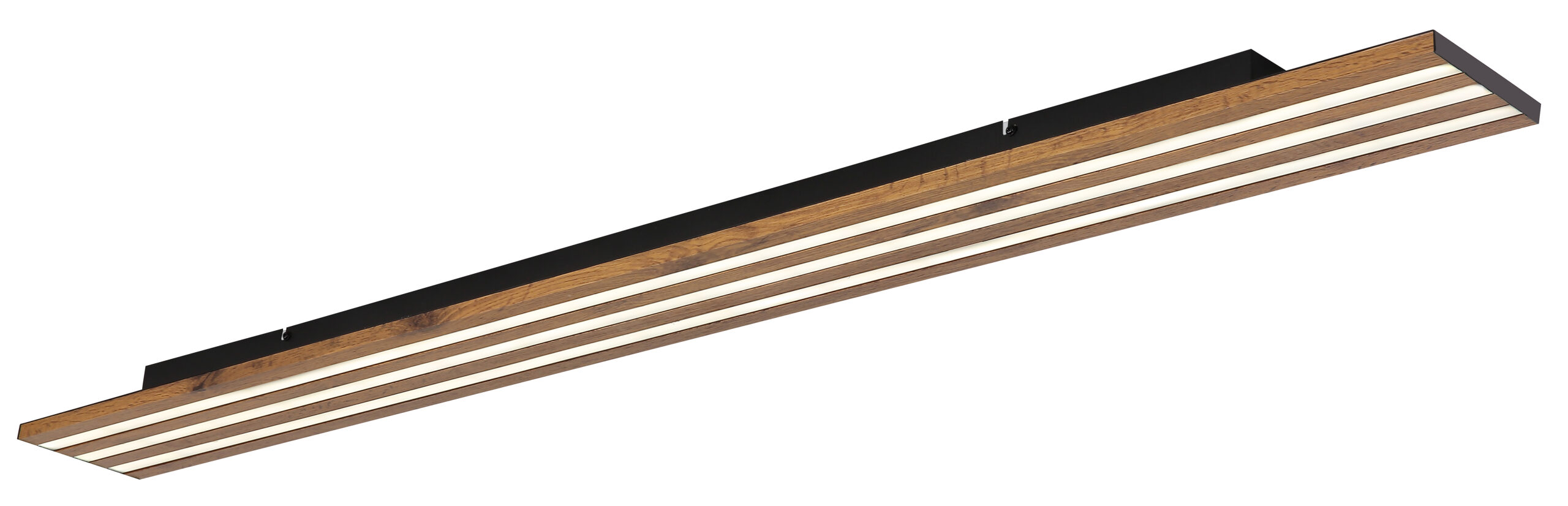 Plafonska rasvjeta HAYDEN